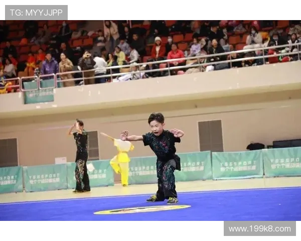 2026年武林风比赛精彩纷呈，武术爱好者不容错过